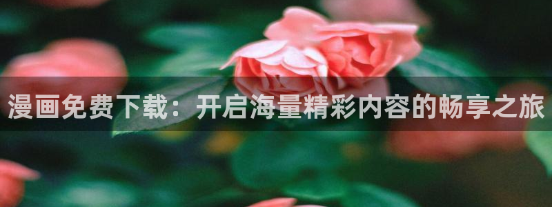 哔咔漫画兑换码