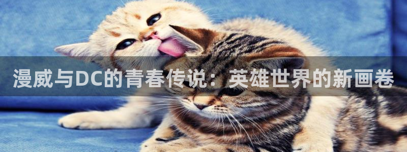 哔咔漫画官网网站