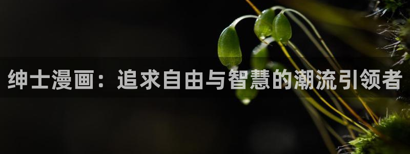 哔咔漫画网页入口