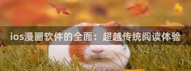 哔咔哔咔漫画app下载官网免费