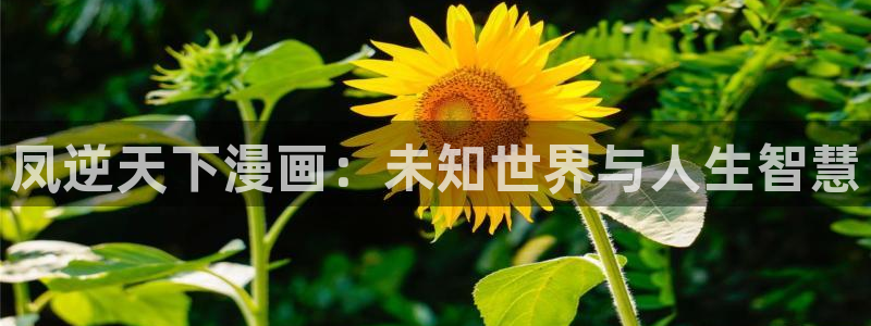 哔咔漫画密令